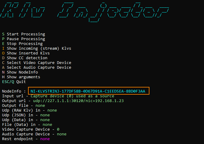 NodeInfo string